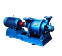 SZ type water ring vacuum pump