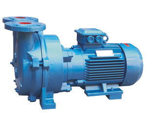 2BV type water ring vacuum pump motor directly connected